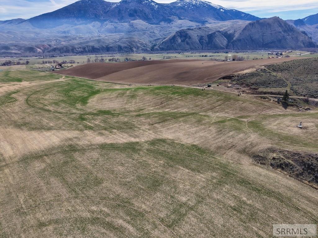 Tbd Williams Creek Road Salmon, ID 83467 - Photo 27 of 60