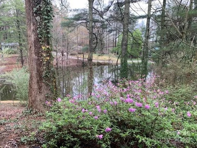 a view of a lake view