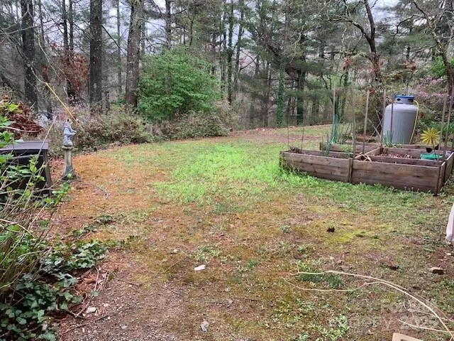 a view of a garden with large trees