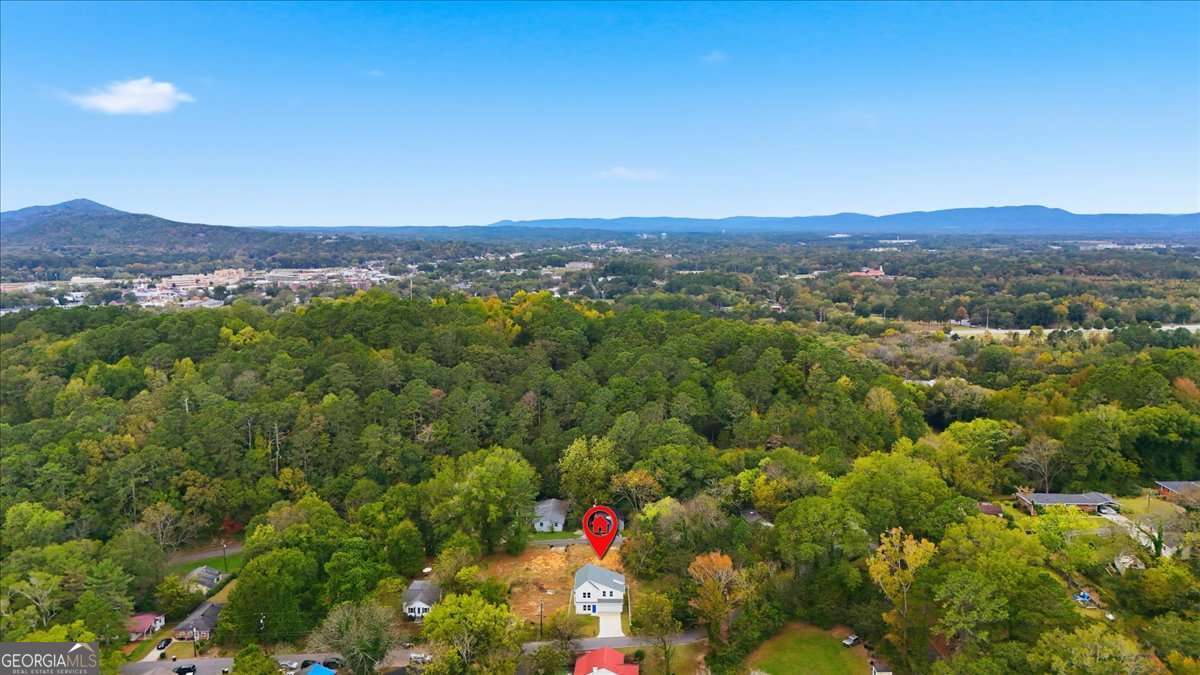 119 Jackson Street Northeast Rome, GA 30161 - Photo 49 of 57 a view of a city with lush green forest
