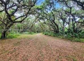 1040 Kirby Thompson Road LaBelle, FL 33935 - Photo 2 of 30