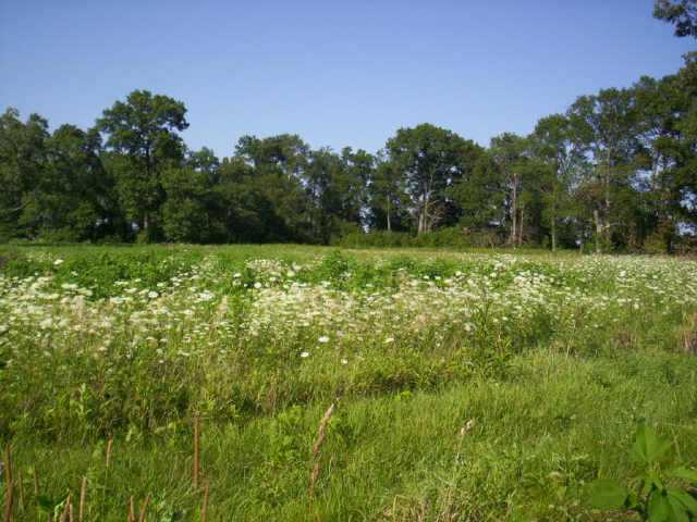0 Berringer Road Marion, OH 43302 - Photo 1 of 3