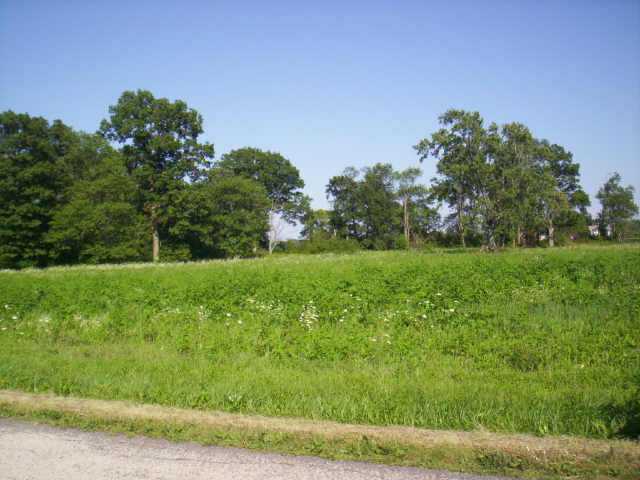 0 Berringer Road Marion, OH 43302 - Photo 2 of 3