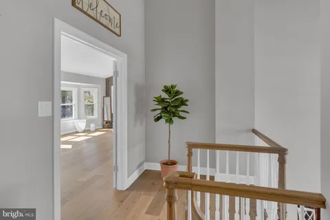 a view of staircase with wooden floor and a potted plants