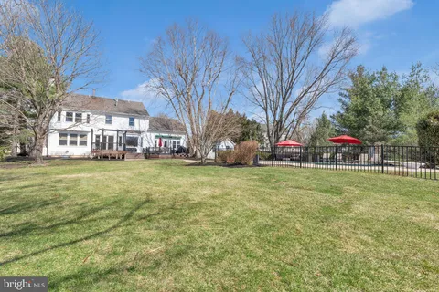a view of a yard with large tree