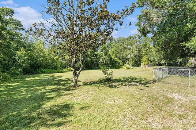 a view of a yard with large trees