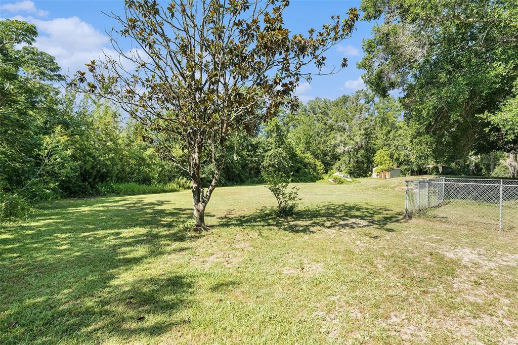 5960 Boyette Road Wesley Chapel, FL 33543 - Photo 26 of 32 a view of a yard with large trees