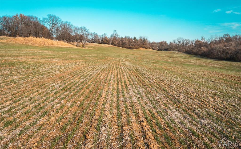 6480 Green Acres Road Glen Carbon, IL 62034 - Photo 19 of 31