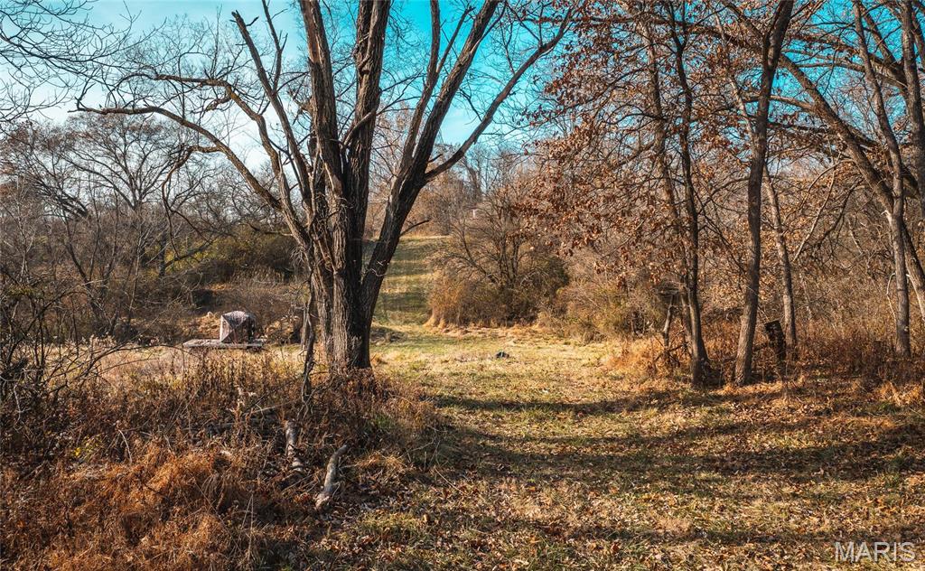6480 Green Acres Road Glen Carbon, IL 62034 - Photo 20 of 31