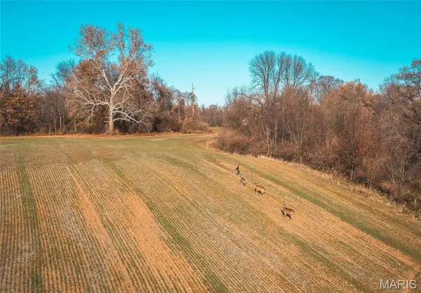 $2,000,000 | 6480 Green Acres Road, Glen Carbon, IL 62034