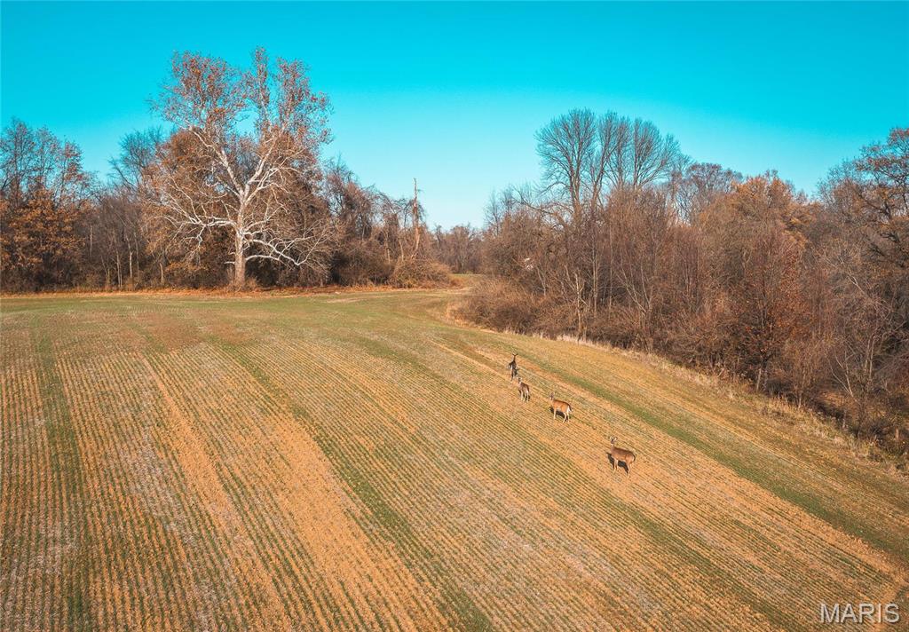 6480 Green Acres Road Glen Carbon, IL 62034 - Photo 6 of 31