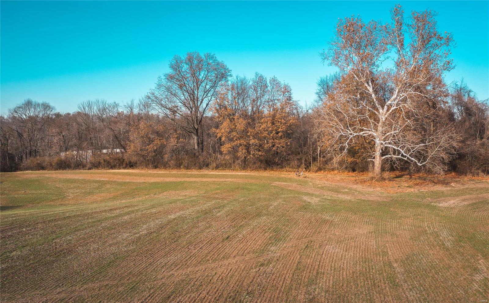 6480 Green Acres Road Glen Carbon, IL 62034 - Photo 7 of 31