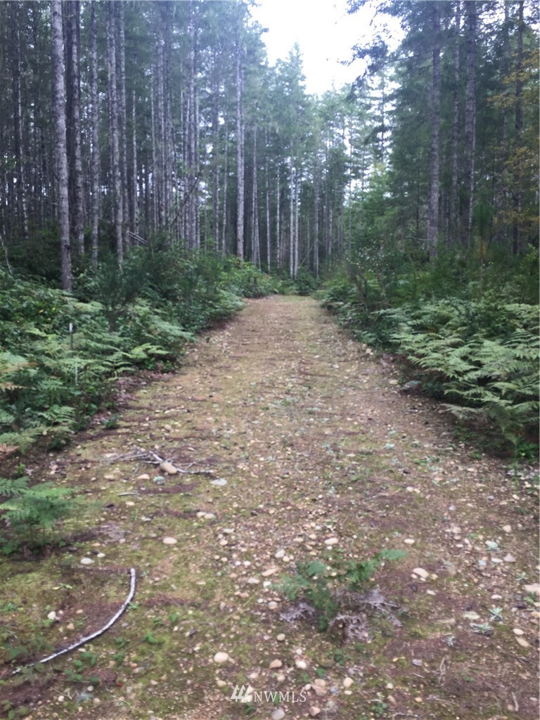 2391 Northeast Tee Lake Road Tahuya, WA 98588 - Photo 6 of 15 Gallery Image 6