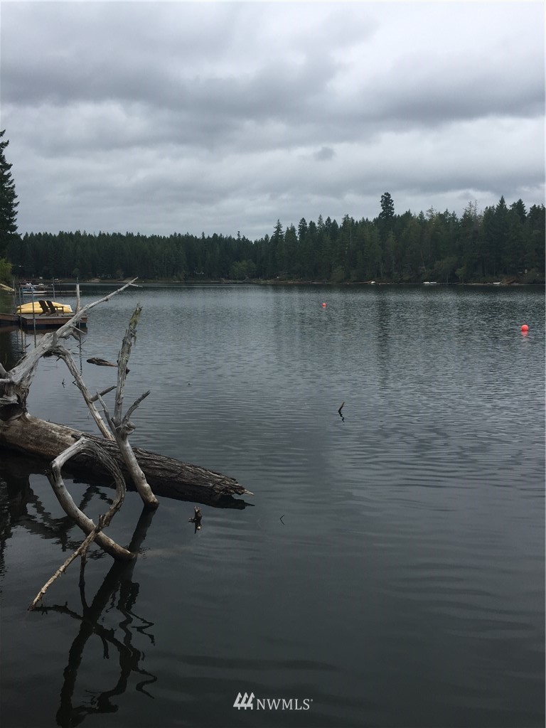 2391 Northeast Tee Lake Road Tahuya, WA 98588 - Photo 10 of 15 Gallery Image 10