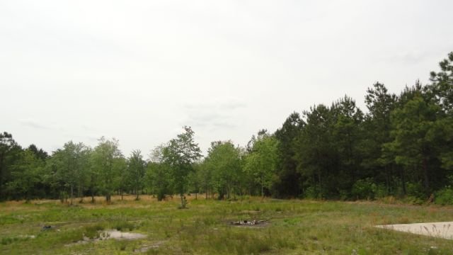 160 Manchester Ranch Place Aynor, SC 29511 - Photo 6 of 6 Gallery Image 6