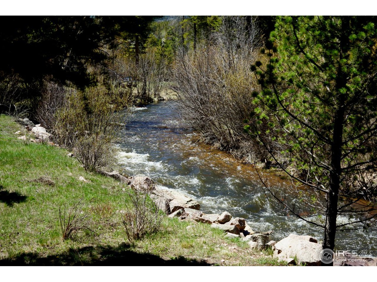 N Fork Cache la Poudre
