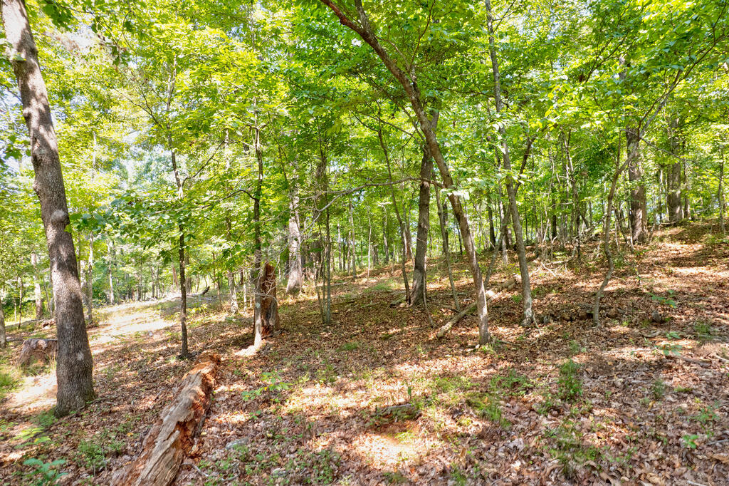 7.58-ac James Ed Road Gainesville, GA 30506 - Photo 7 of 22 Gallery Image 7