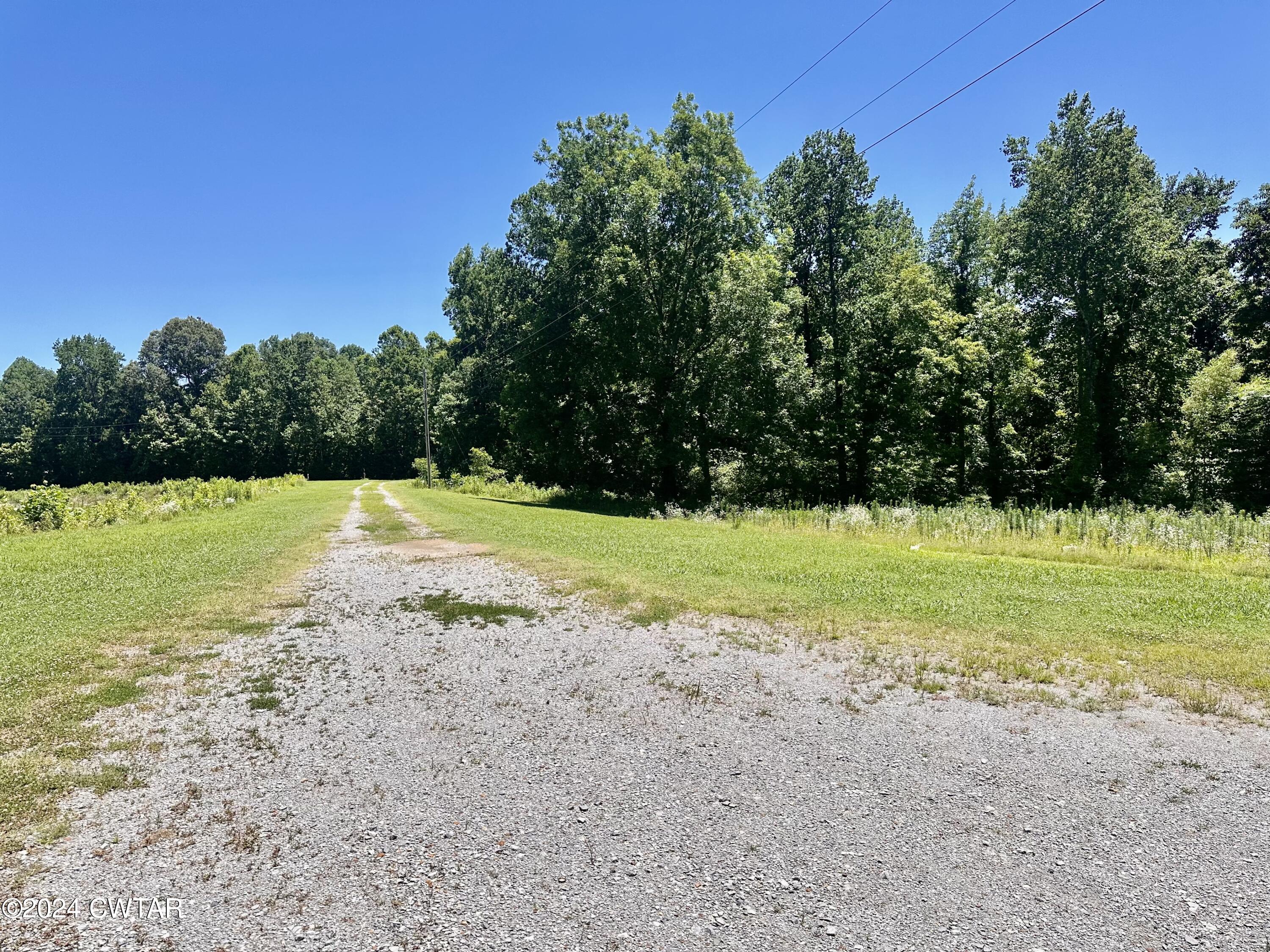 891 Dean Hill Road Hornbeak, TN 38232 - Photo 11 of 12 a view of a golf course with a tree