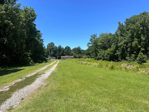 a view of a big yard with a large trees