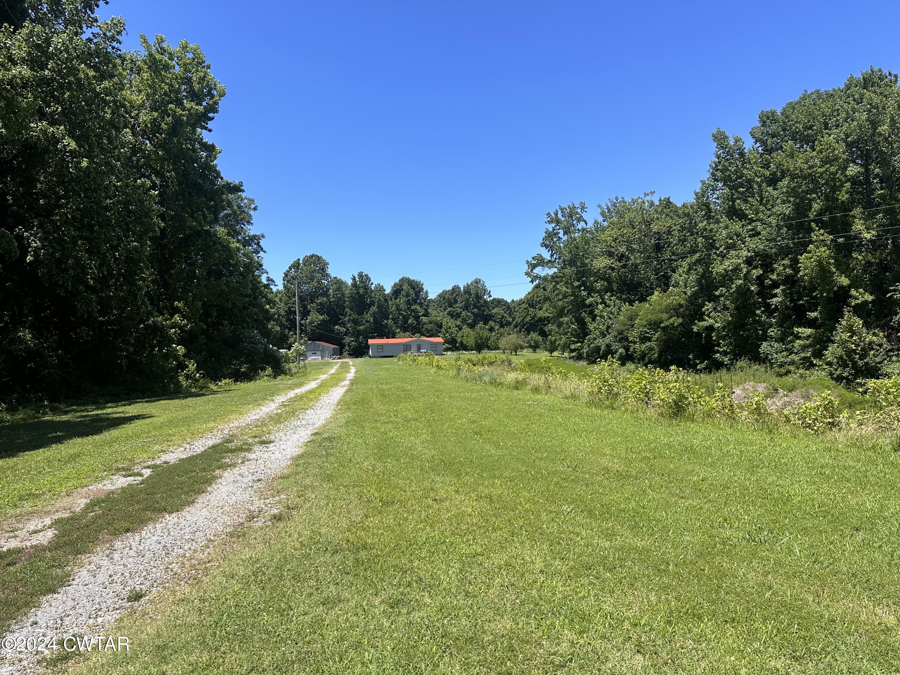 891 Dean Hill Road Hornbeak, TN 38232 - Photo 2 of 12 a view of a big yard with a large trees