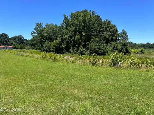 a view of a green yard