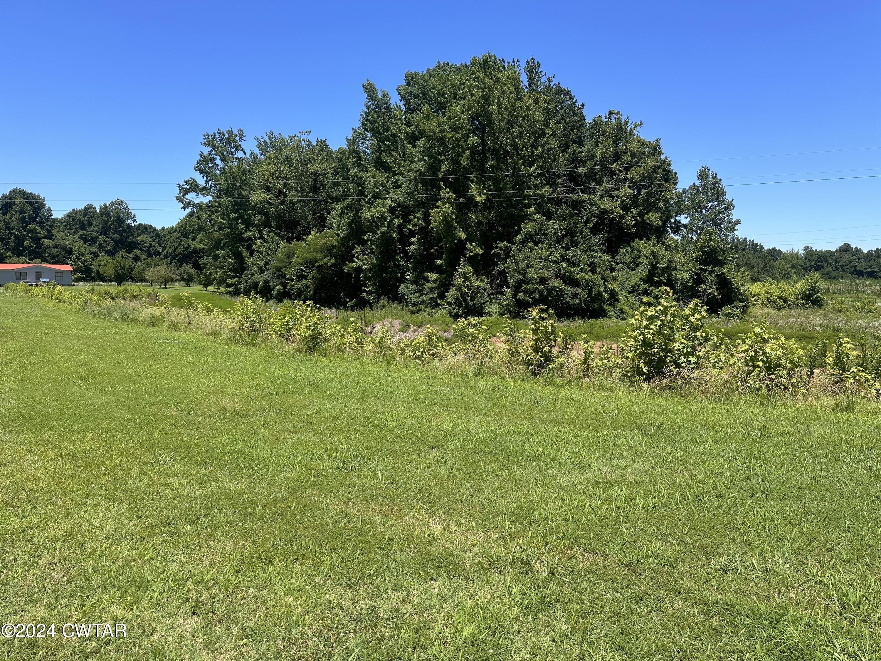 891 Dean Hill Road Hornbeak, TN 38232 - Photo 3 of 12 a view of a green yard