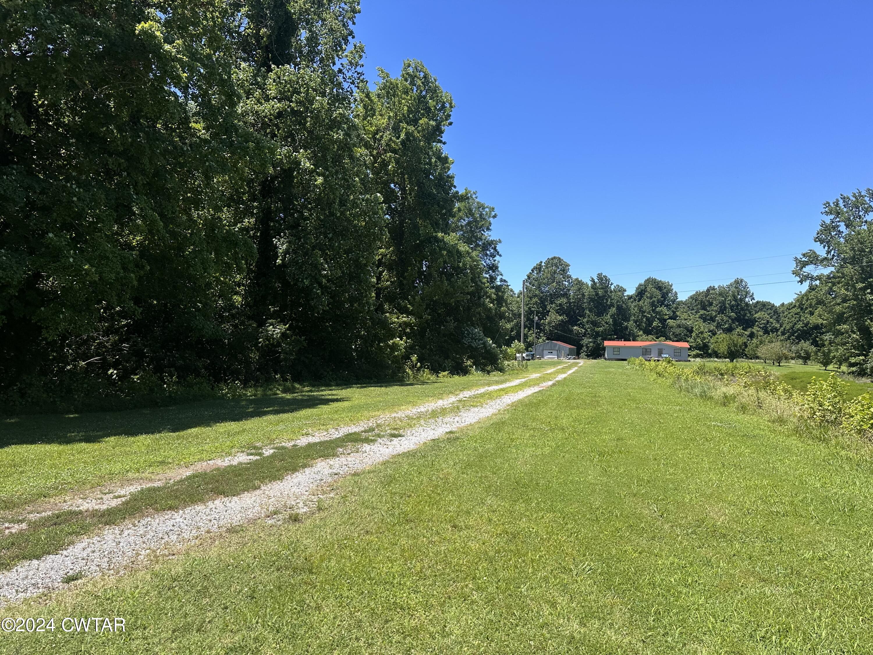 891 Dean Hill Road Hornbeak, TN 38232 - Photo 4 of 12 a view of a yard with a large trees