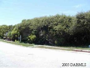 34 Inlet Point Boulevard Ponce Inlet, FL 32127 - Photo 1 of 1 Primary Photo