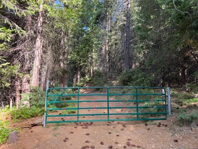 a view of outdoor space and yard