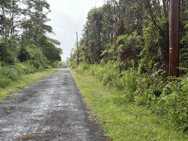 357 Puna Road Pahoa, HI 96778 - Photo 9 of 10