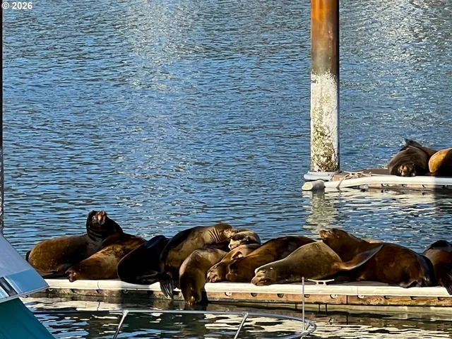 $229,000 | 98126 West Benham Lane, Unit 9, Brookings, OR 97415