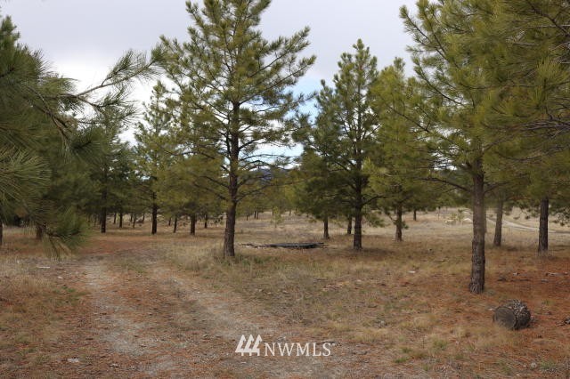 948 Swanson Mill Road Tonasket, WA 98855 - Photo 19 of 23 Gallery Image 19