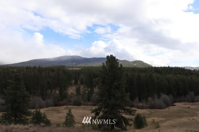 948 Swanson Mill Road Tonasket, WA 98855 - Photo 21 of 23 Gallery Image 21