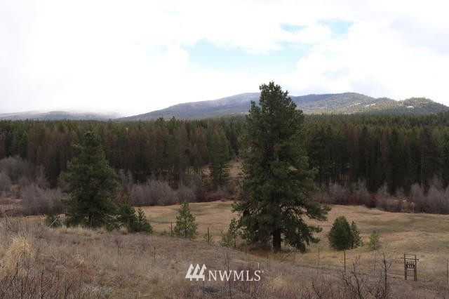 948 Swanson Mill Road Tonasket, WA 98855 - Photo 22 of 23 Gallery Image 22