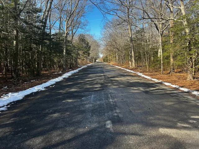 a view of backyard with green space