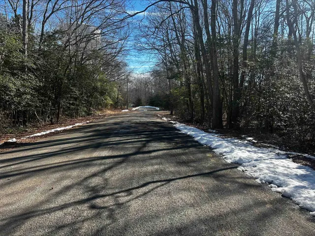 a view of backyard with green space