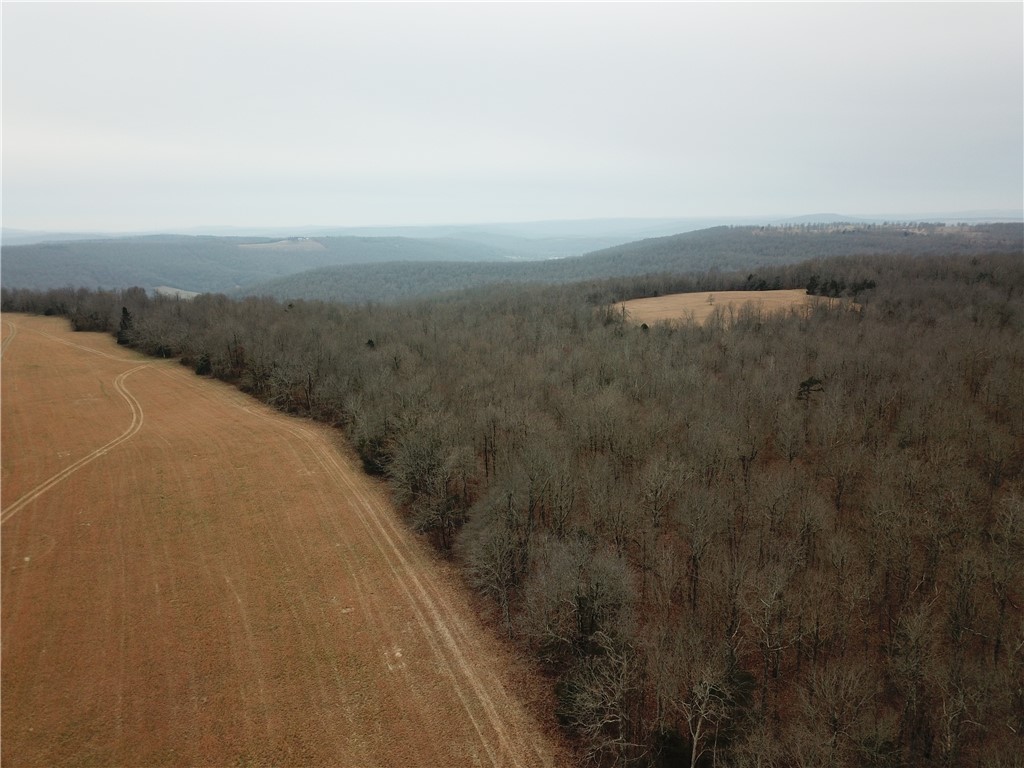 Liberty Road Leslie, AR 72645 - Photo 12 of 25 Gallery Image 12
