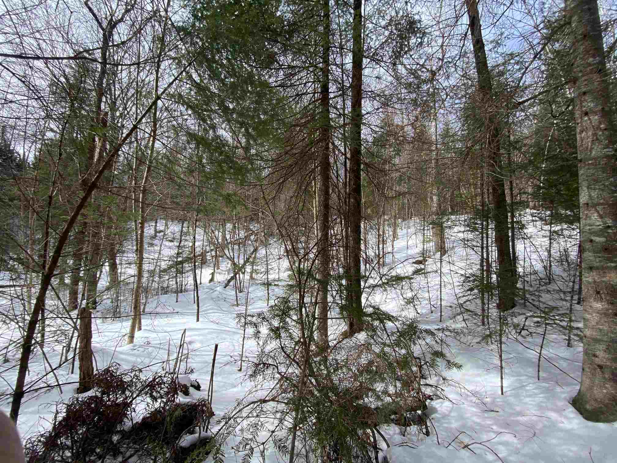 203 West Forest Lake Road Bethlehem, NH 03574 - Photo 4 of 11