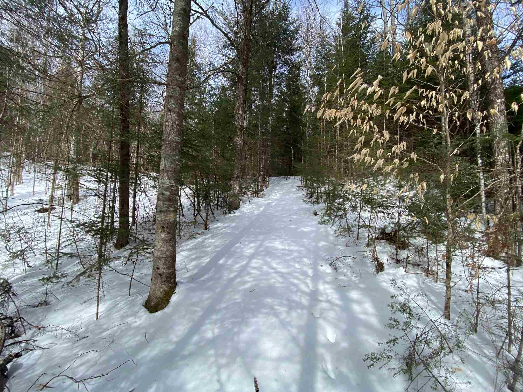 203 West Forest Lake Road Bethlehem, NH 03574 - Photo 5 of 11