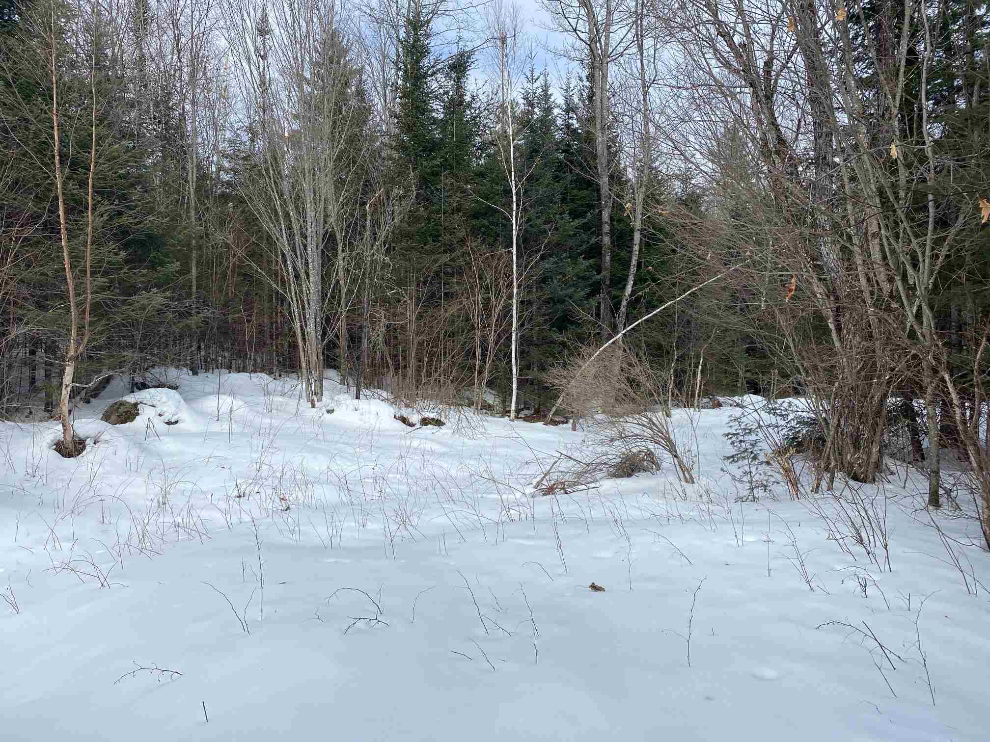 203 West Forest Lake Road Bethlehem, NH 03574 - Photo 6 of 11