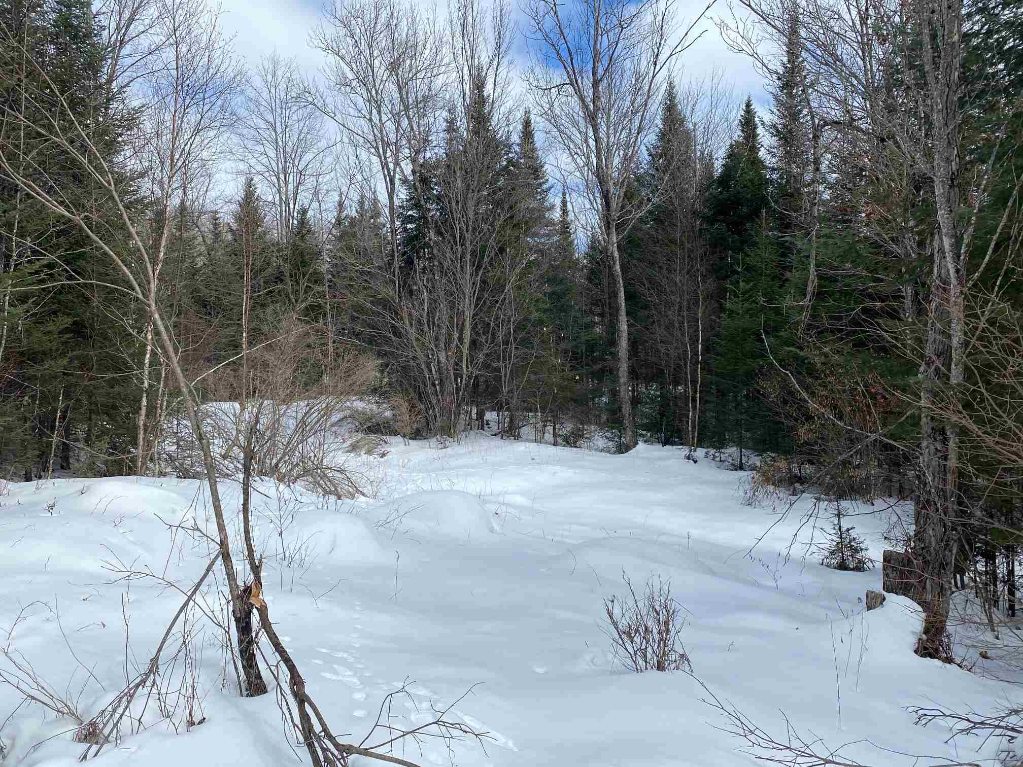 203 West Forest Lake Road Bethlehem, NH 03574 - Photo 8 of 11