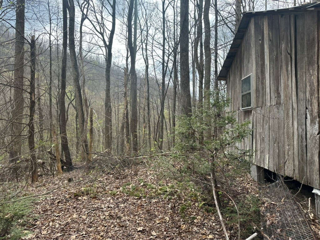 Tbd Clearview Lane Murphy, NC 28906 - Photo 14 of 29 Structure