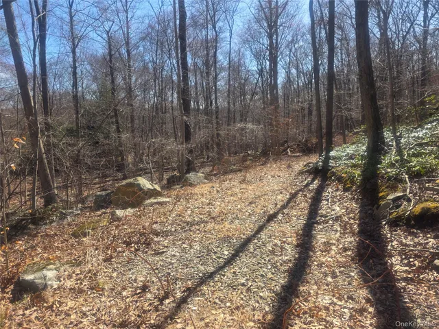 a view of a yard with trees