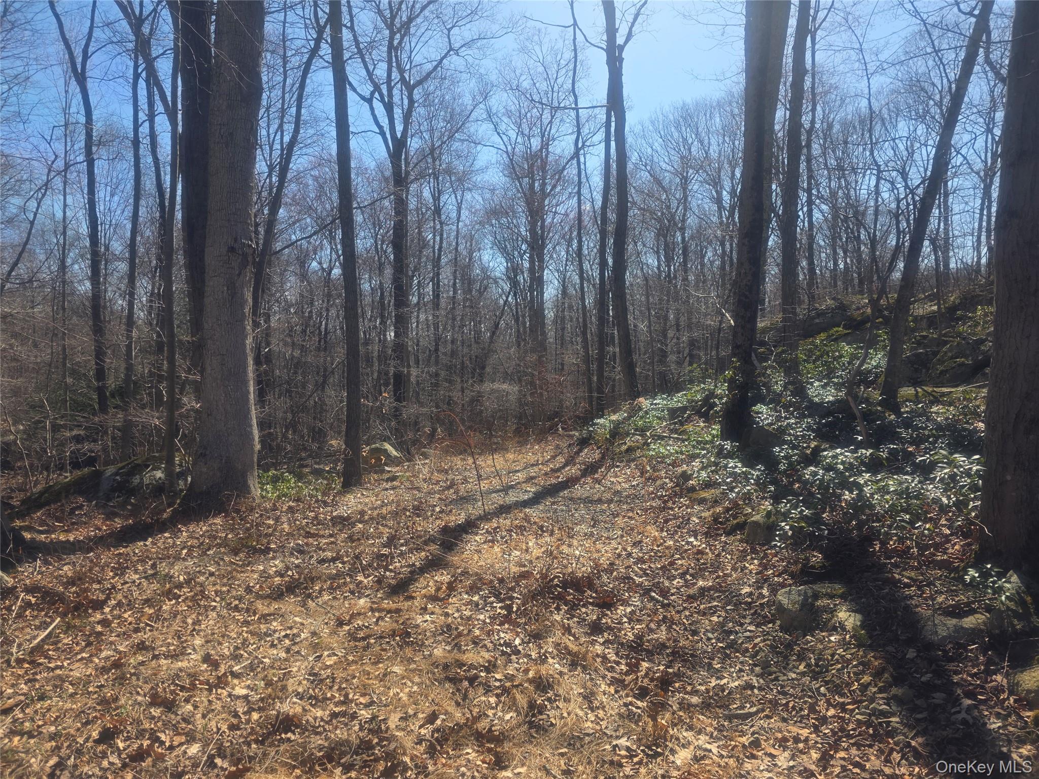 South Road Holmes, NY 12531 - Photo 2 of 3 a view of a yard with trees