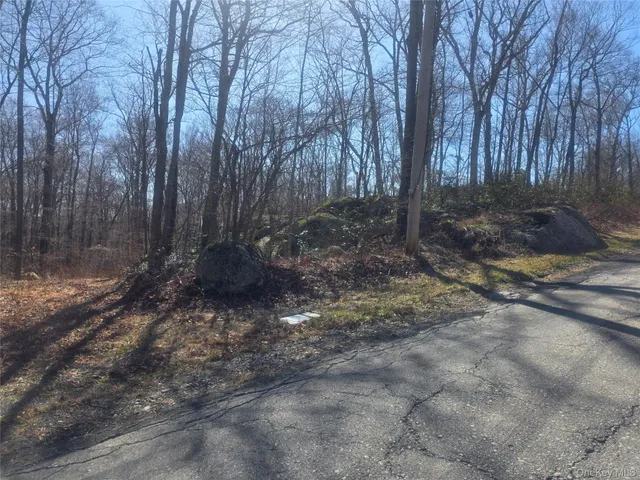 a view of a forest with trees in the background