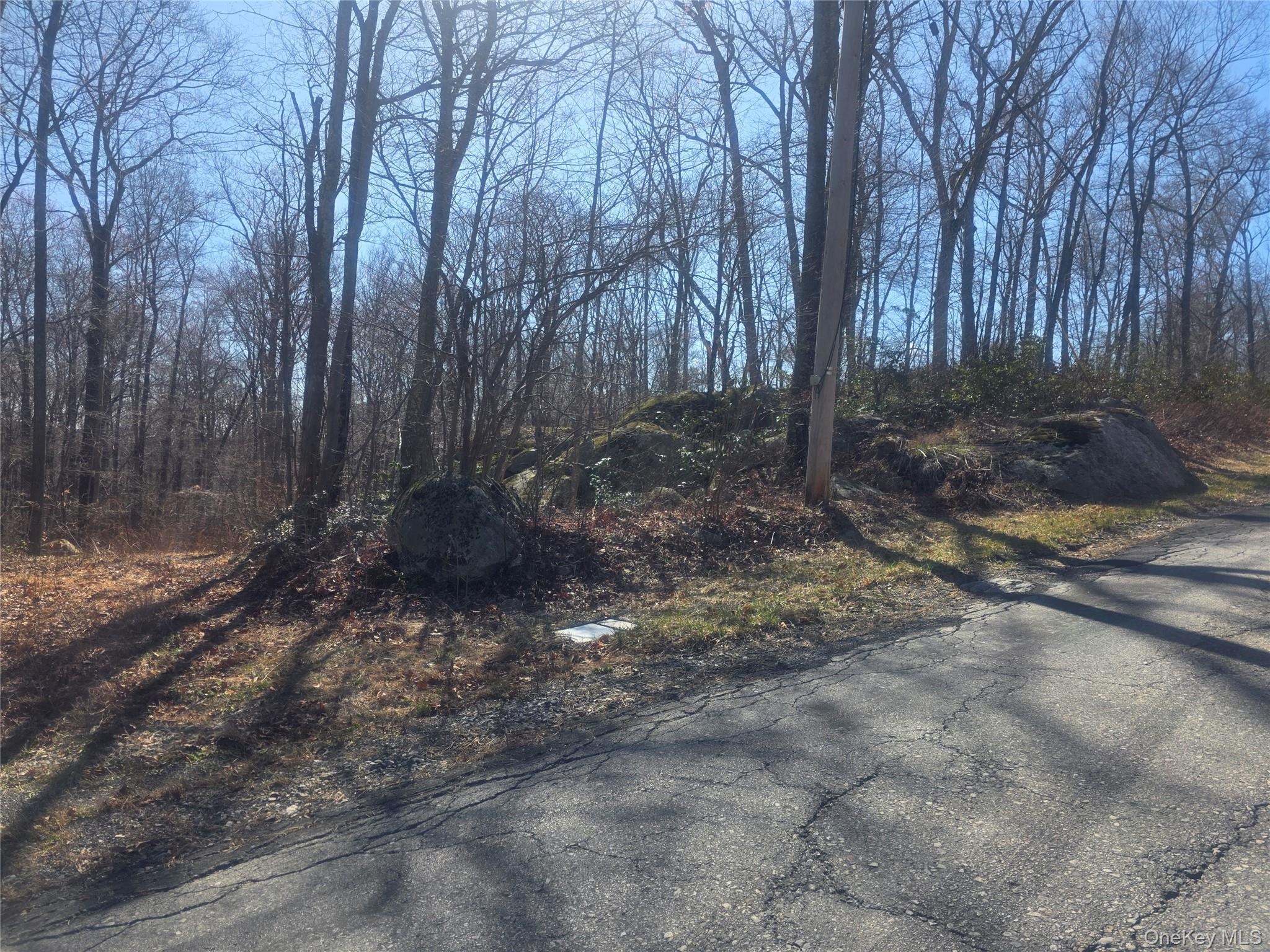 South Road Holmes, NY 12531 - Photo 3 of 3 a view of a forest with trees in the background