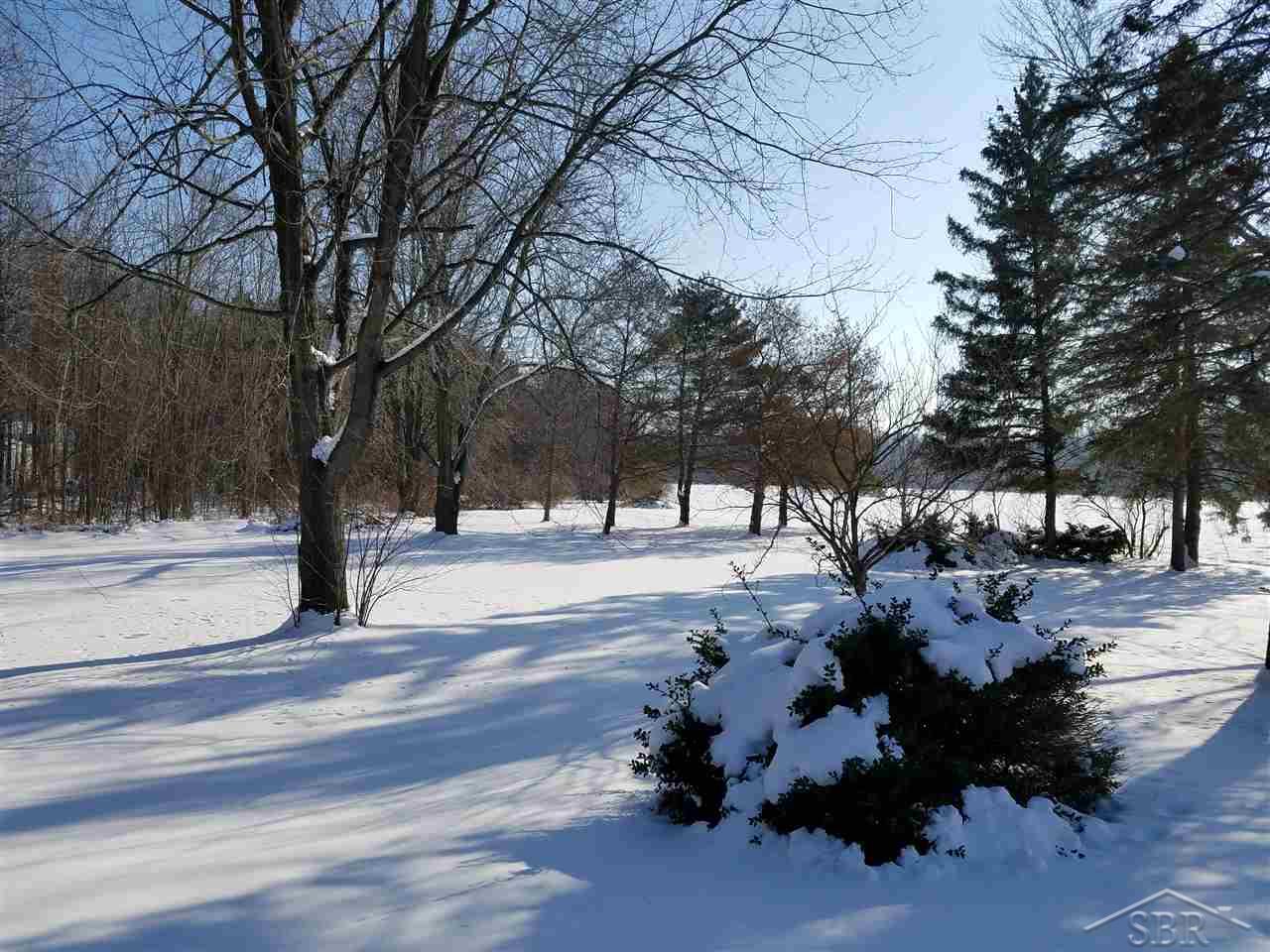 10205 E Road Burt, MI 48417 - Photo 17 of 18 31340172-16.JPG