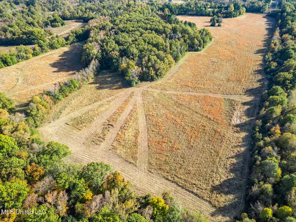 $2,040,775 | Catlett Road, Madison, MS 39110