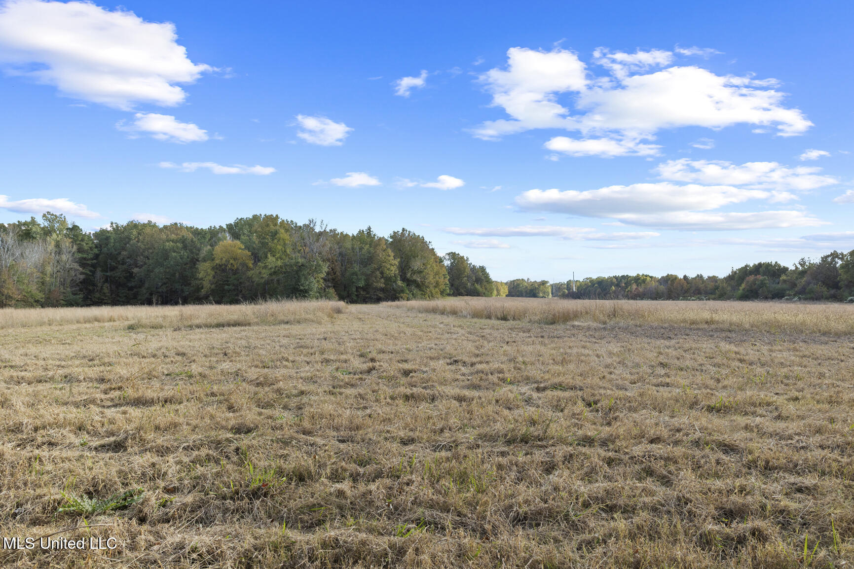 Catlett Road Madison, MS 39110 - Photo 20 of 36 Catlett Rd-1