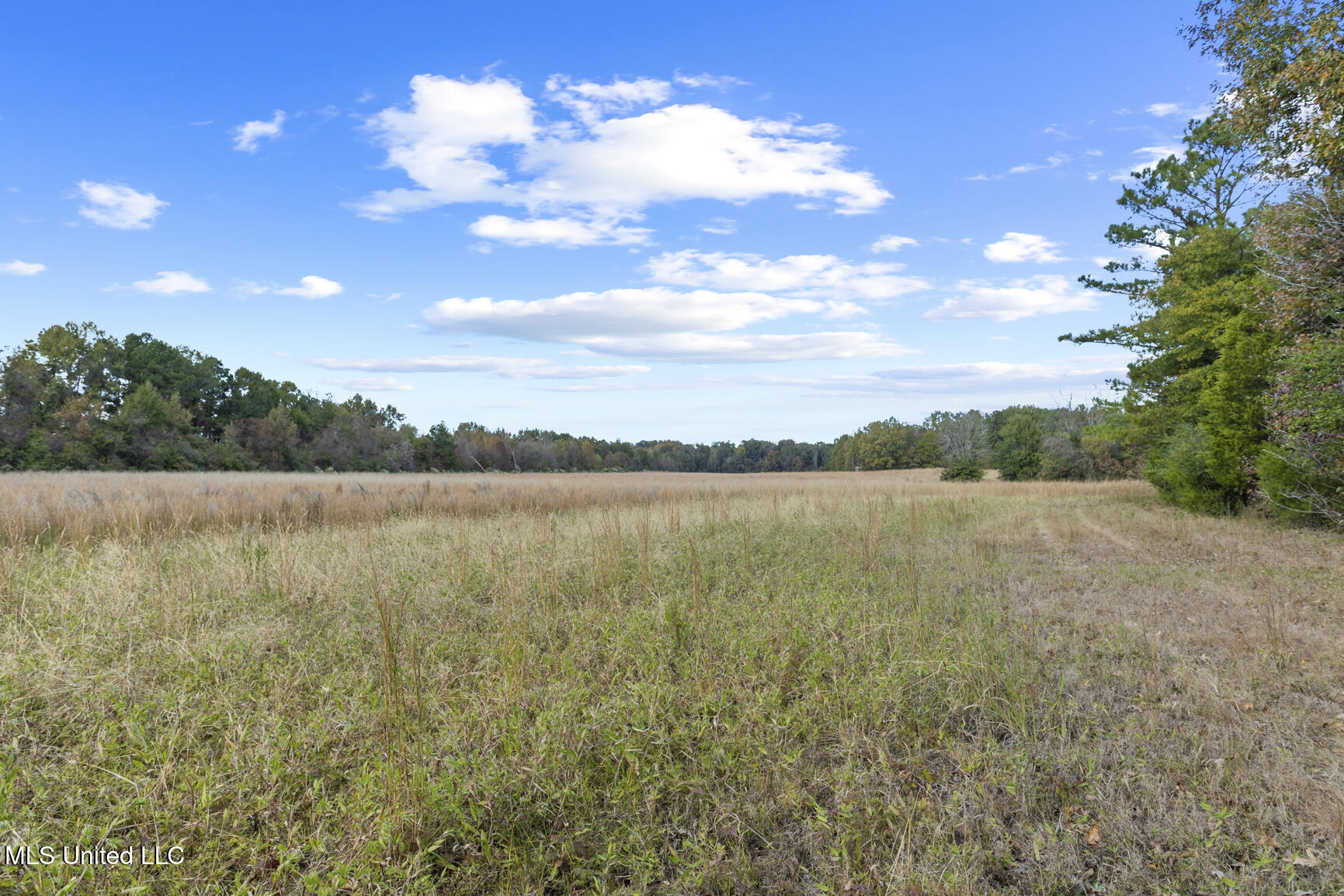 Catlett Road Madison, MS 39110 - Photo 21 of 36 Catlett Rd-13